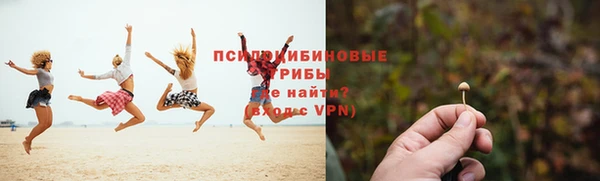прущая мука Верхний Тагил