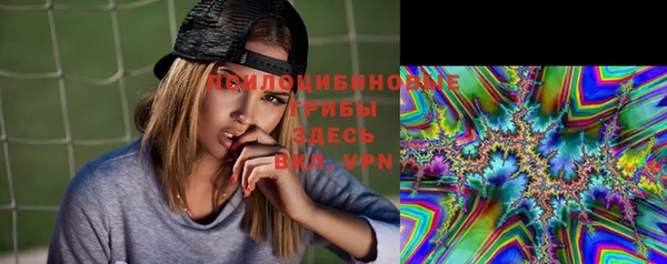 мяу мяу мука Верея
