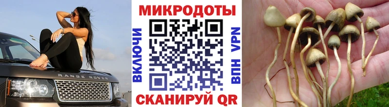 Галлюциногенные грибы Cubensis  Миасс 